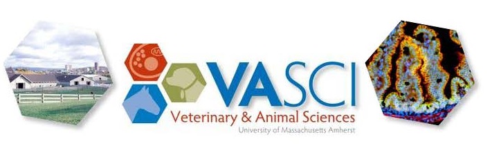 Veterinary & Animal Sciences