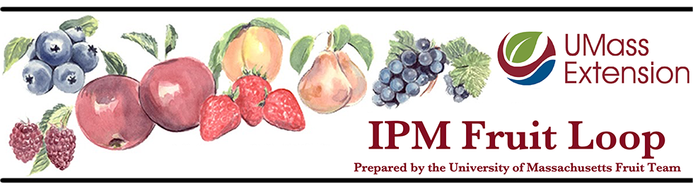 UMass IPM Fruit Loop