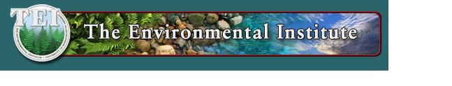 The Environmental Institute (TEI) Conference Proceedings