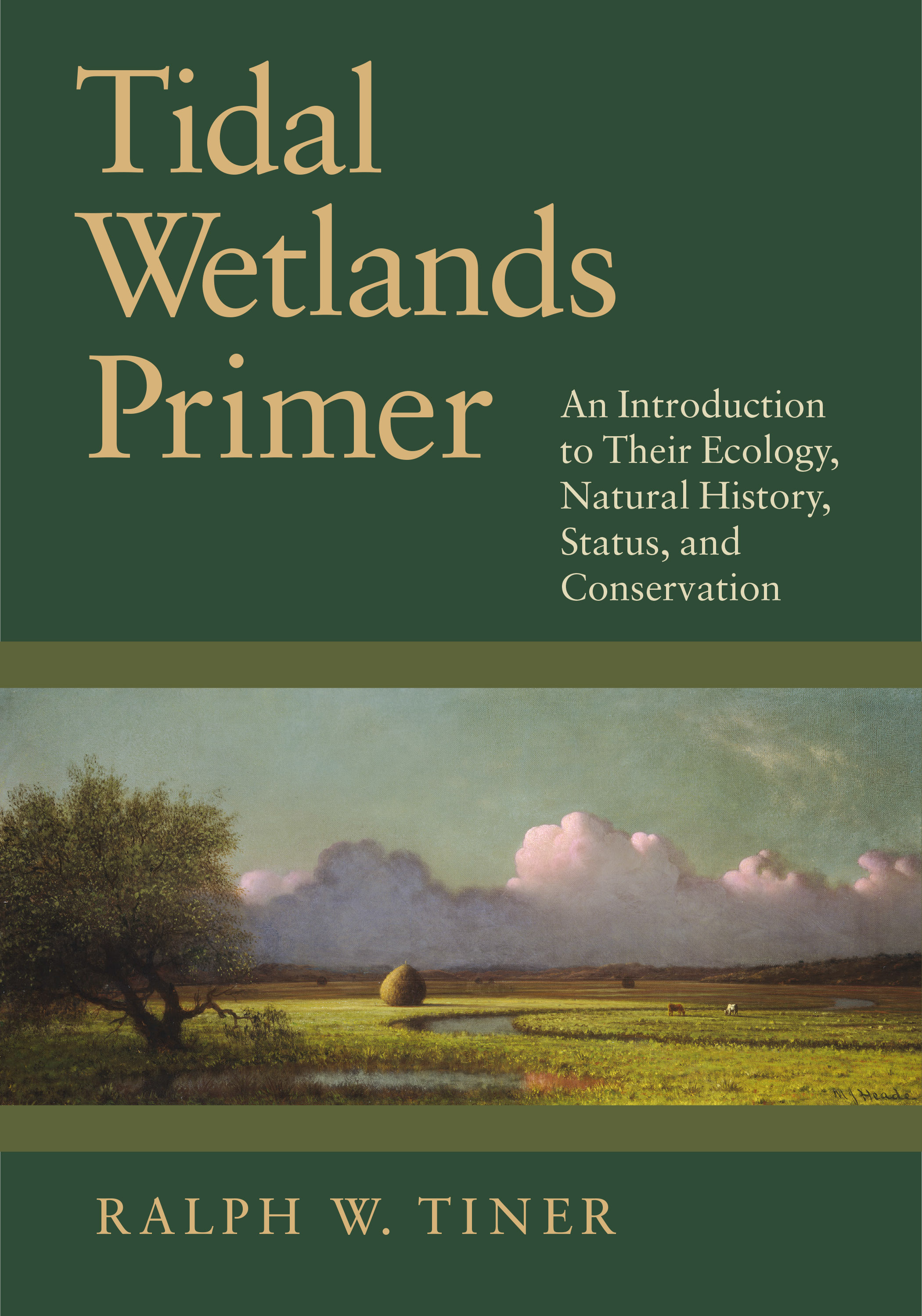 Tidal Wetlands Primer by Ralph Tiner