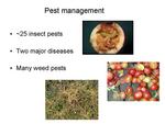Cranberry Pest Management Challenges