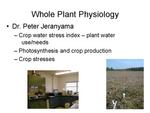 Whole Plant Physiology