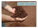 Composted Cranberry Pomace Up Close