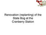 Renovation of the State Bog at the Cranberry Station