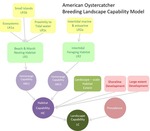 Designing Sustainable Landscapes: Representative Species Model: American Oystercatcher (Haematopus palliatus) by William V. DeLuca