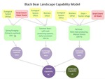 Designing Sustainable Landscapes: Representative Species Model: Black Bear (Ursus americanus) by William V. DeLuca