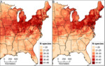 Shifting hotspots: Climate change projected to drive contractions and expansions of invasive plant abundance ranges by Annette Evans, Evelyn M. Beaury, Peder S. Engelstad, Nathan B. Teich, and Bethany A. Bradley