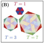 Limits of economy and fidelity for programmable assembly of size-controlled triply-periodic polyhedra